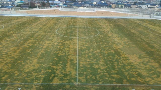 1650273822211061894.jpg 55.jpg